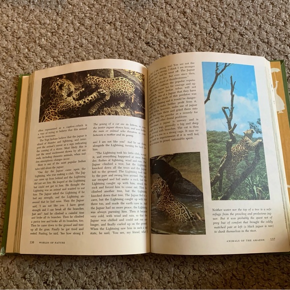 Vintage Wonderful World Of Walt By Disney Boxed Set Of 4 Books - Picture 12 of 15